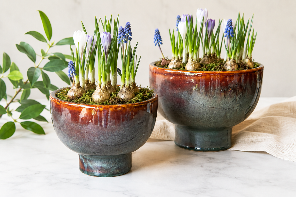 Handcrafted Glazed Bulb Planter Bowl