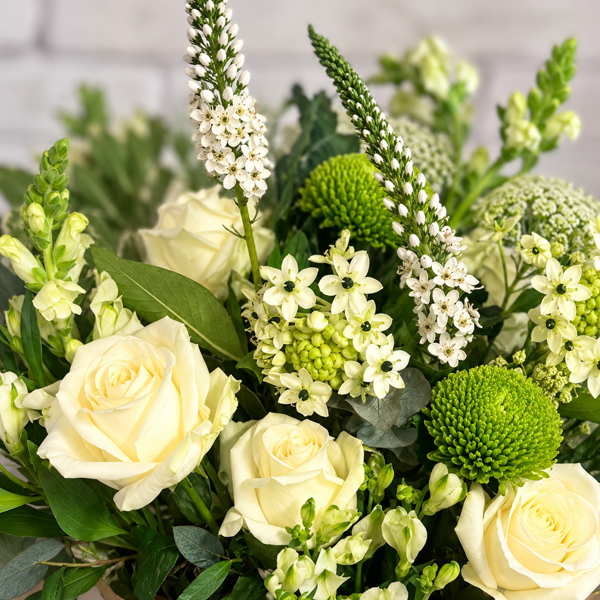 Our Signature Bunch