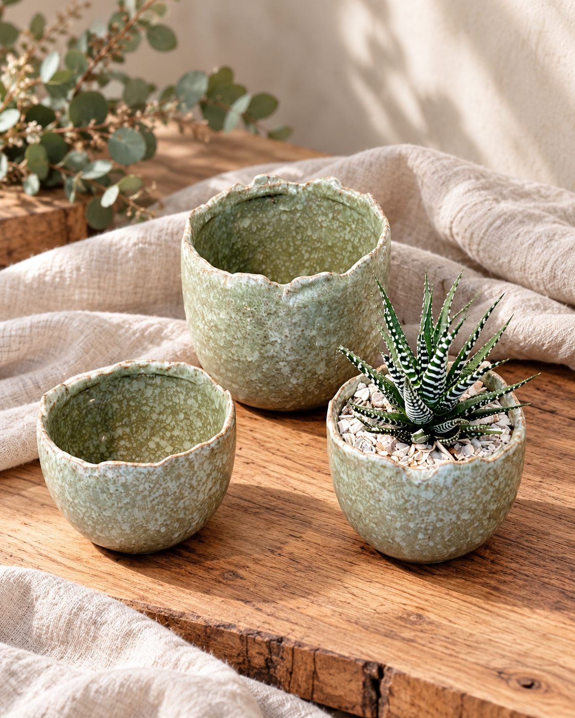 A characterful sage-green ceramic plant pot with a beautifully speckled glaze and organic uneven rim, perfect for succulents, small houseplants and seasonal bulbs.